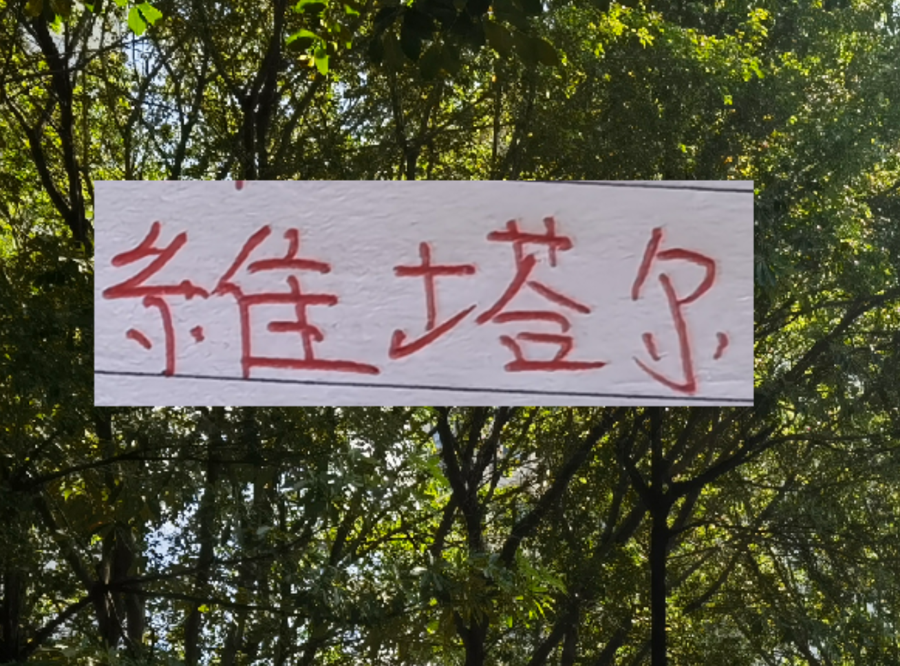 球速体育平台-上个赛季中超前4的十号 就海港10号维塔尔助攻最多 出场也最多